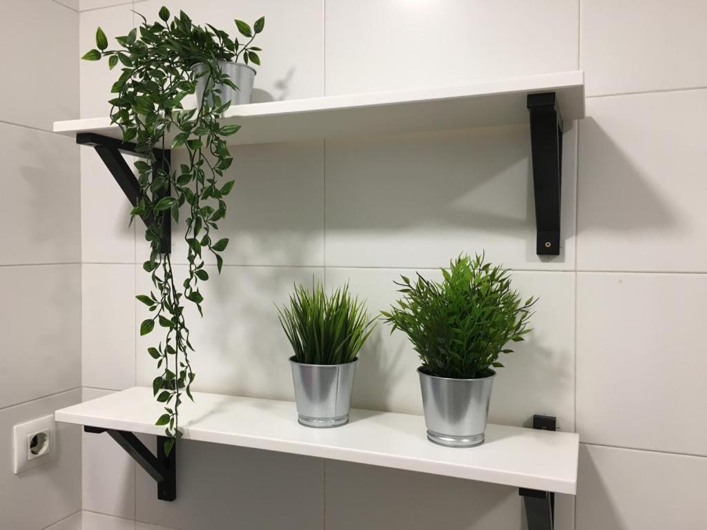 Apartament Piso Loureiro Crespo Pontevedra Zewnętrze zdjęcie